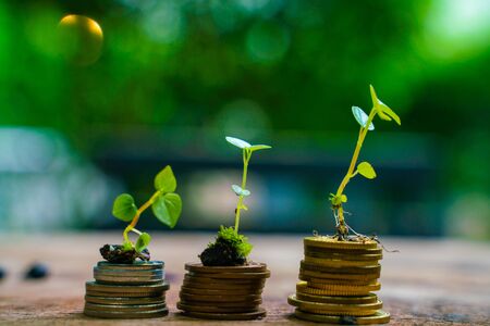 投資與自動化收入的完美結合：如何讓資金持續增值？